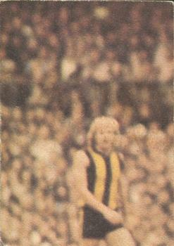 1976 Scanlens VFL #75 Wayne Judson Back